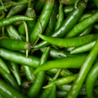 Green Chilli