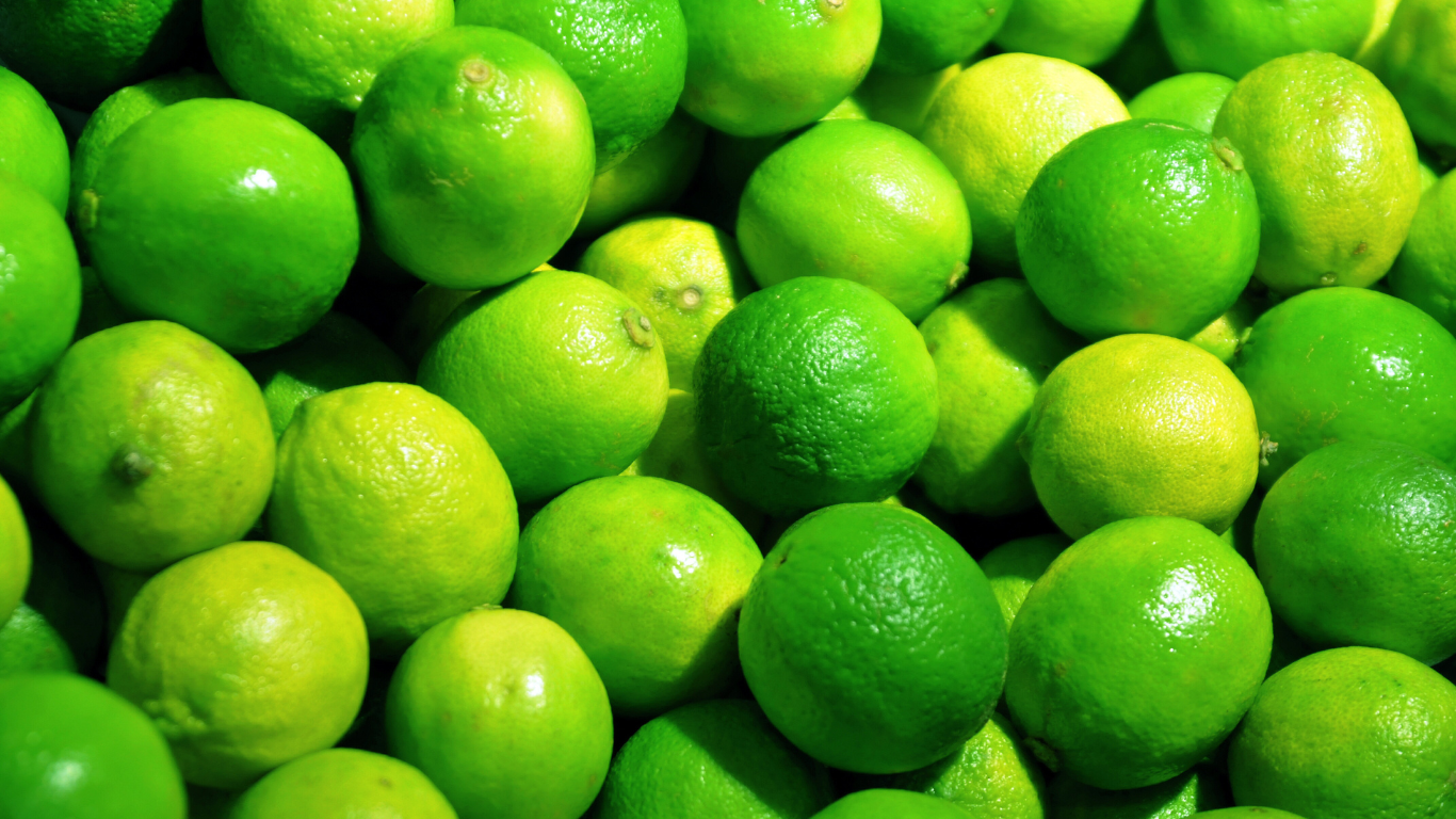 Fresh Lemon Exporter From India