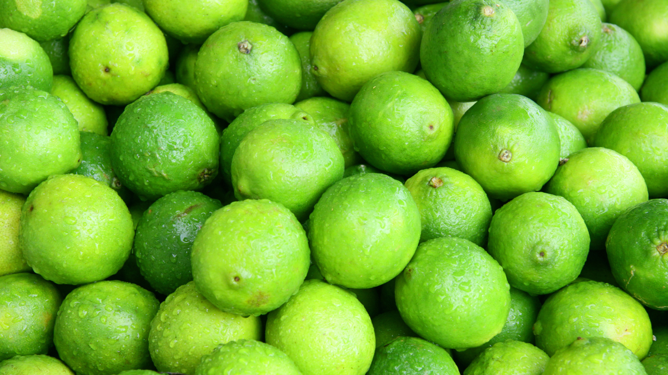 Premium Export Quality Lemon