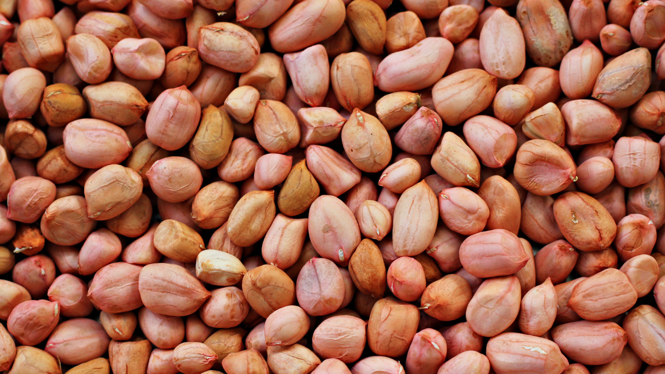 Groundnut Exporter From India