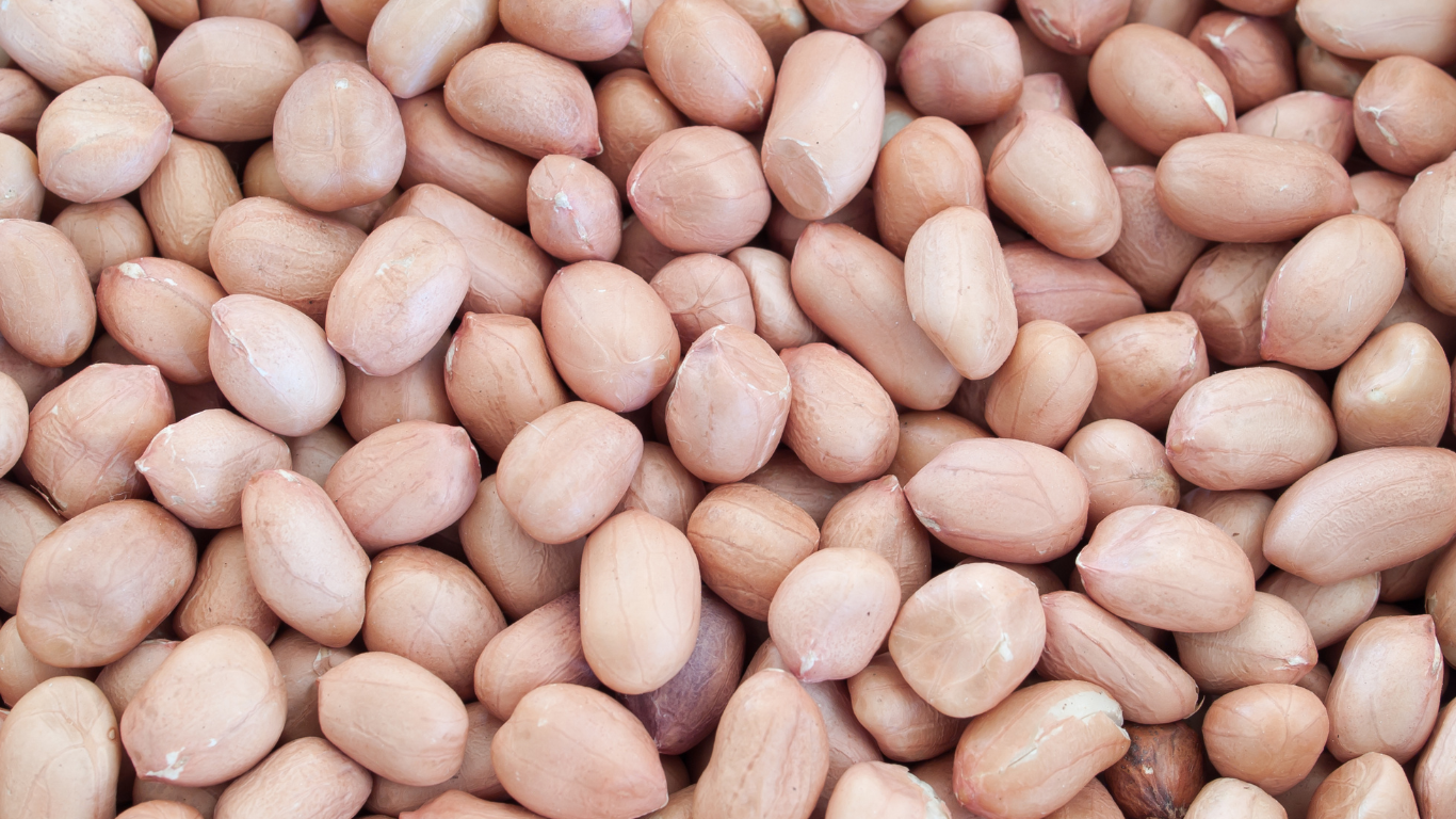 Premium Export Quality Groundnut
