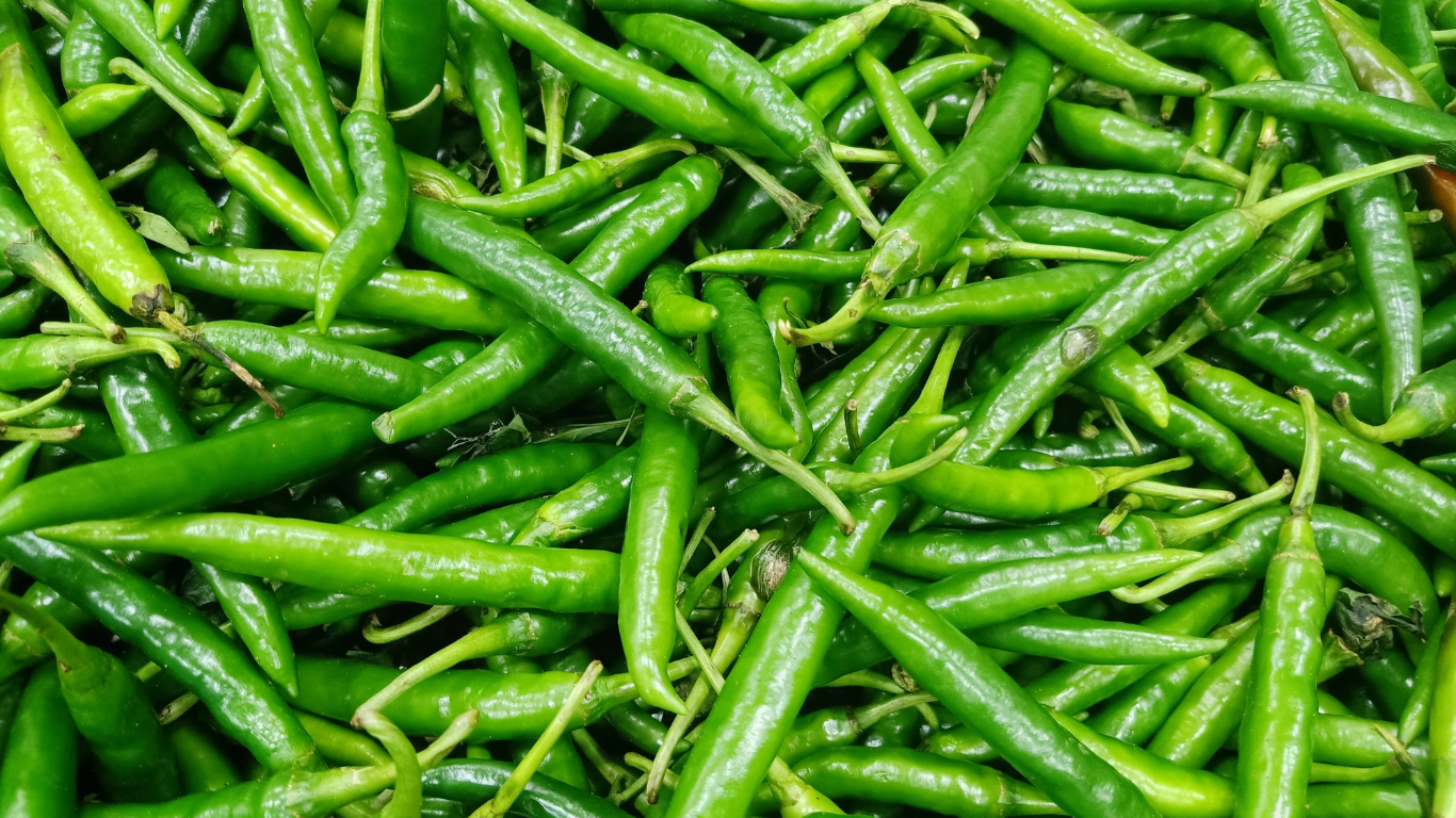 Green Chilli Exporter From India