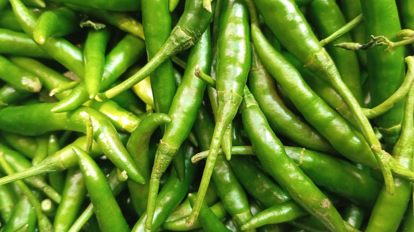 Fresh Export Quality Green Chilli