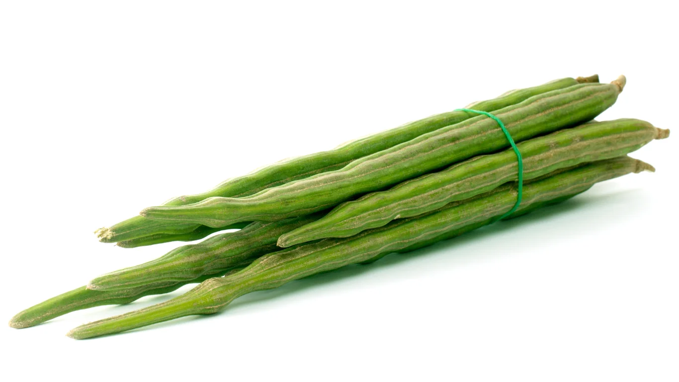Drumstick Exporter From India